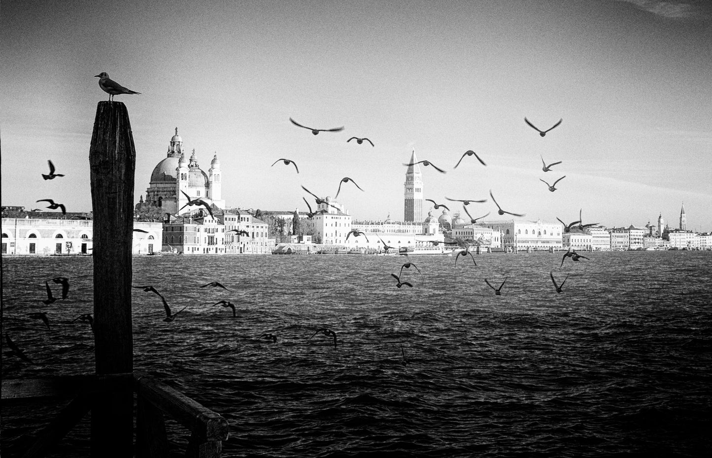 Postcard from Venice #33